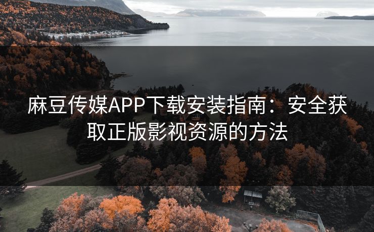 麻豆传媒APP下载安装指南：安全获取正版影视资源的方法