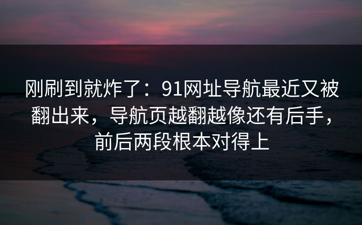 刚刷到就炸了：91网址导航最近又被翻出来，导航页越翻越像还有后手，前后两段根本对得上